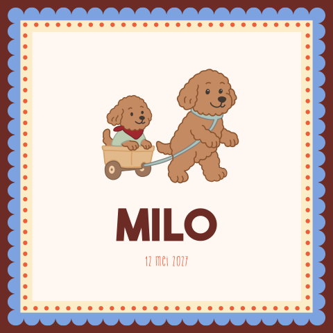 Geboortekaartje Honden Broertjes Bruin Blauw Milo