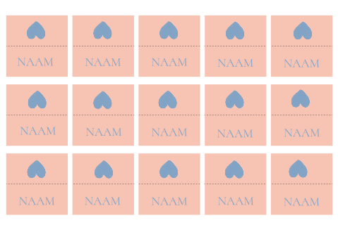 Naamkaartjes perzik blauw hartje