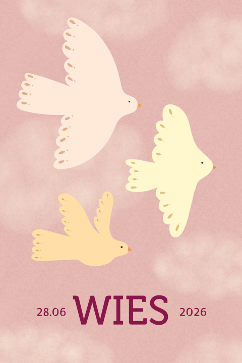 Geboortekaartje oudroze drie vogels Wies