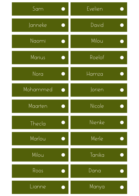 Naamkaartjes Labeltjes Groen met Gaatje Naomi David