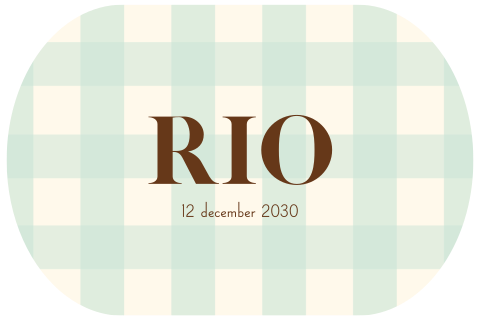 Geboortekaartje stans vichy print mintgroen bruin Rio
