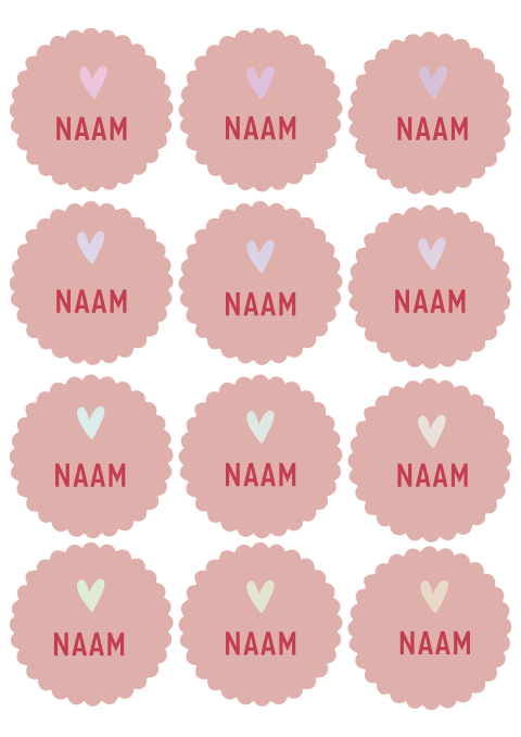 Naamkaartjes Chrystantenvorm roze Merel Daisy