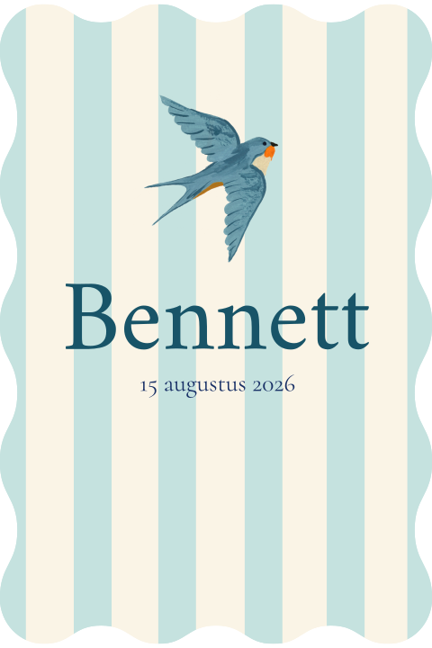 Geboortekaartje streepjes zwaluw