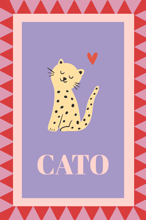 Raamsticker Luipaard Cato