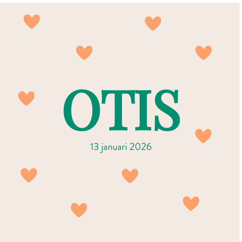 Raambord Otis