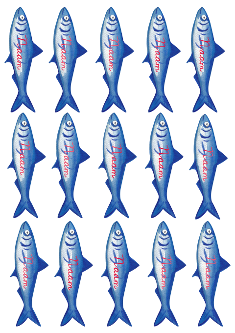 Naamkaartjes Sardientjes Liset Paul