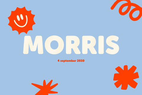 Geboortekaartje Grafische Vormen Rood Blauw Morris