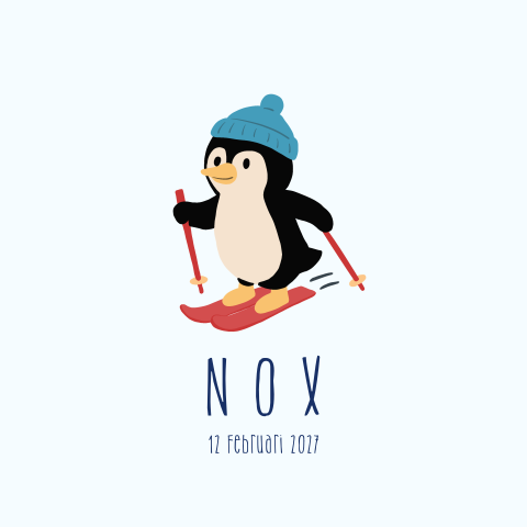 Geboortekaartje Pinguin Ski Winter