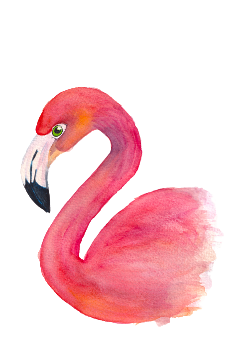 Wenskaart Flamingo