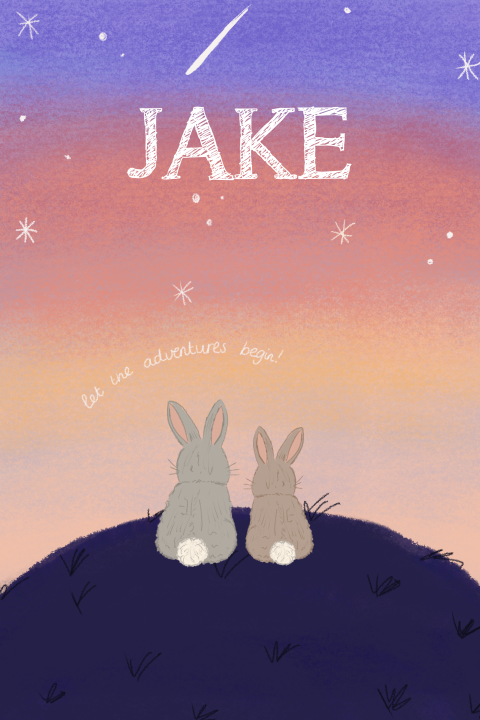 Geboortekaartje Konijntjes Broertje Zusje Heelal Jake