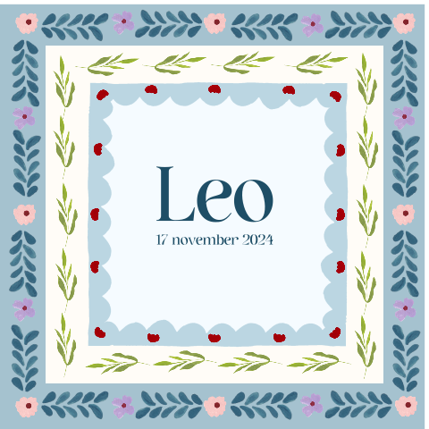 Raambord Leo