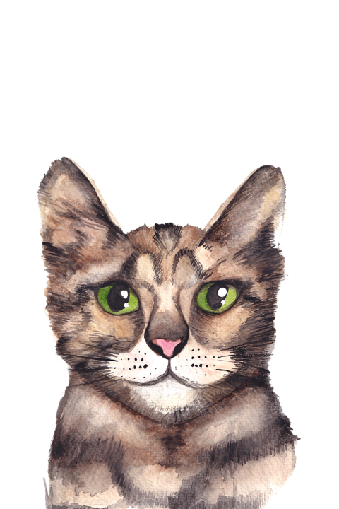 Wenskaart Kat