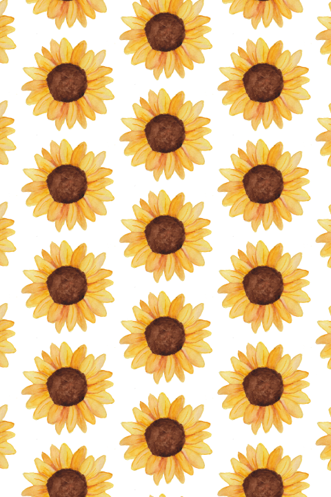 Wenskaart Zonnebloemen