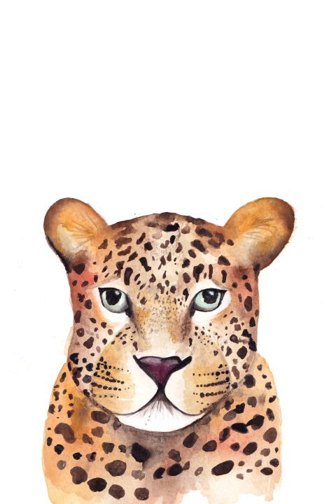 Wenskaart Luipaard