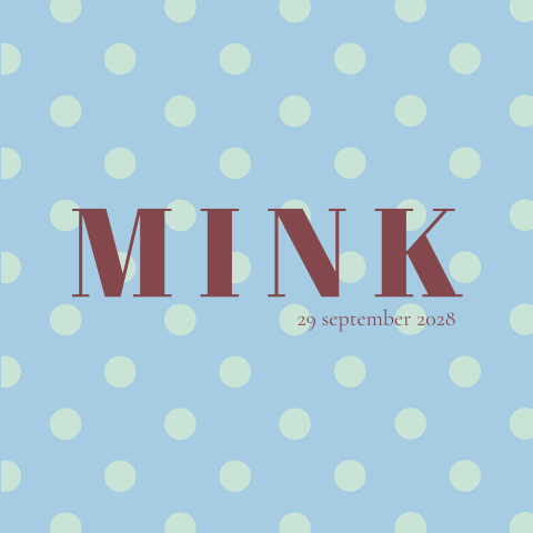 Geboortekaartje Polkadot stippen blauw mintgroen Mink