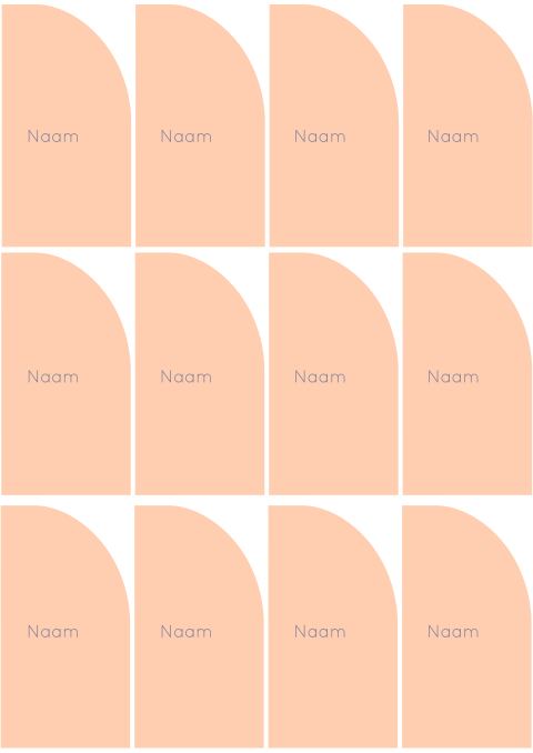 Naamkaartjes minimalistisch boog rechts perzik Wessel Demi