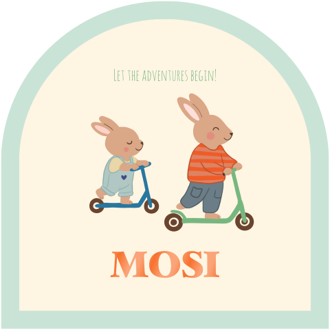 Geboortekaartje Stans Boog Steppende broertjes