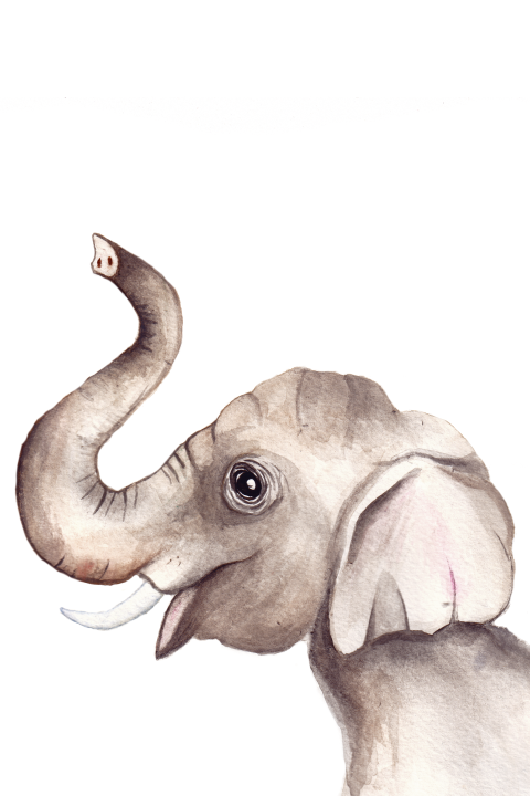 Wenskaart Olifant