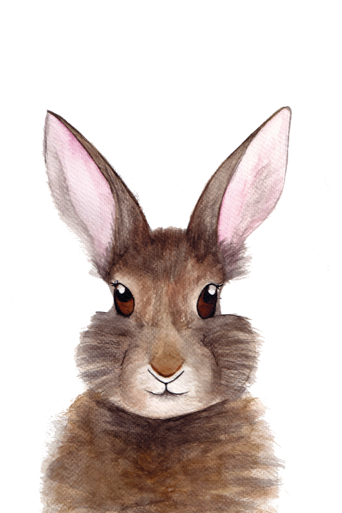 Wenskaart Konijn