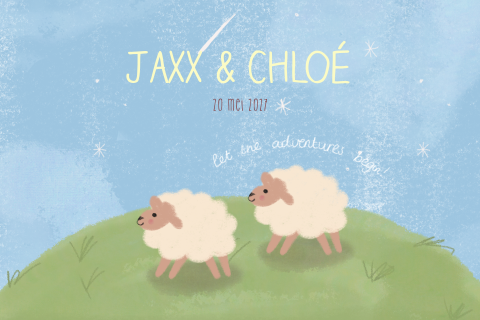 Geboortekaartje Tweeling Schaapjes blauw groen geel Jaxx Chloe