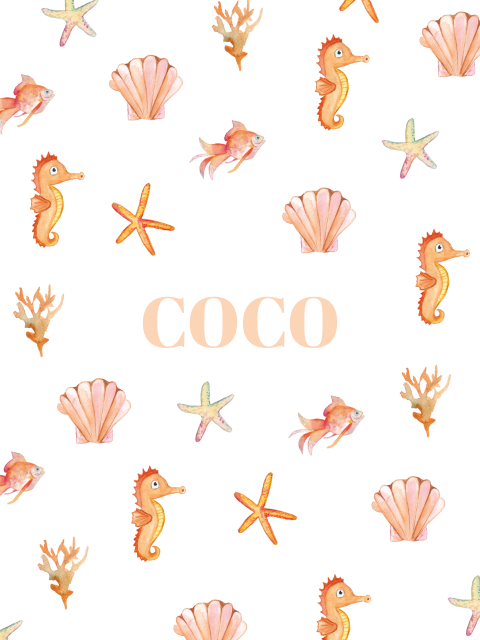 Poster Coco