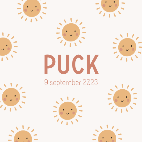 Raamsticker Puck (60x60cm)