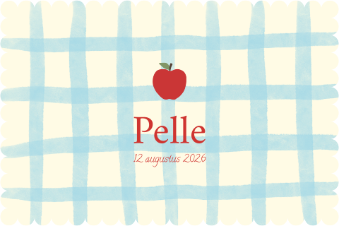 Geboortekaartje ruitjes appel