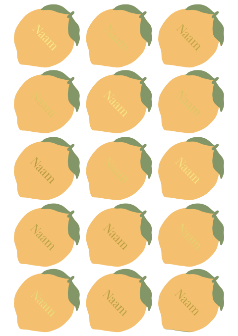 Naamkaartjes Citroenvorm 