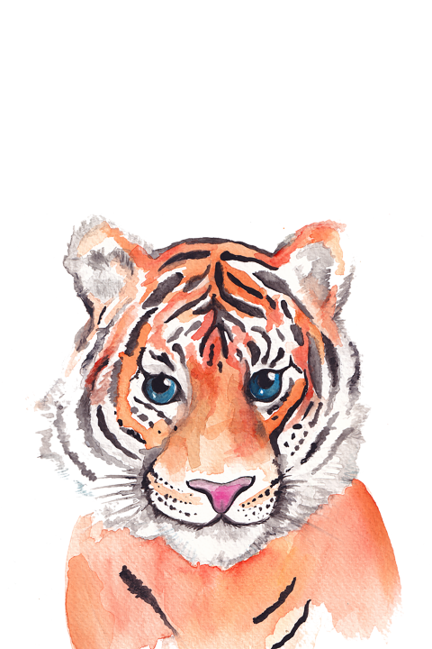 Wenskaart Tijger