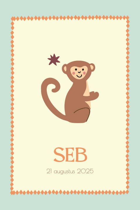 Poster aapje Seb