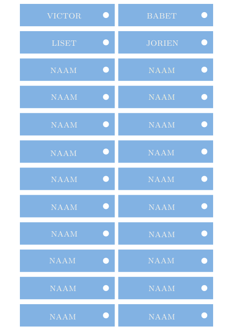 Naamkaartjes Babet Victor
