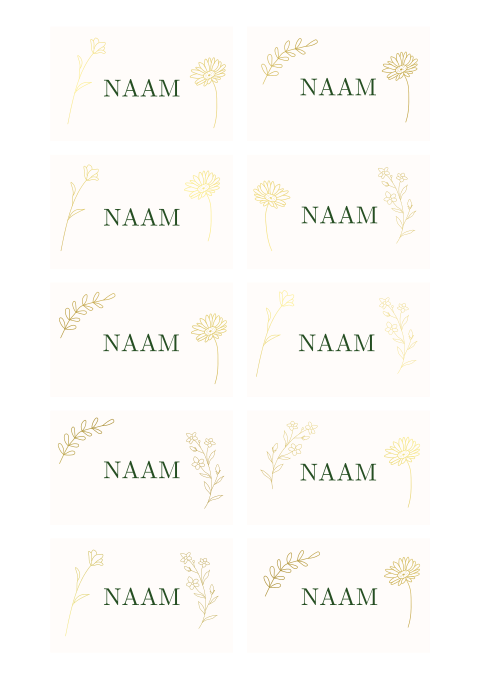 Naamkaartjes Willem Rachel goudfolie bloemen