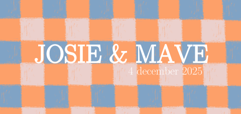 Geboortekaartje tweeling geblokt oranje roze blauw