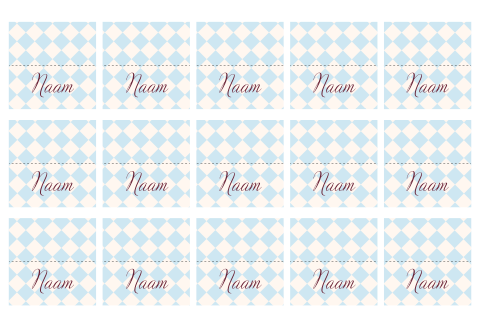 Naamkaartjes bruiloft Romantisch blauw ruitjes Maxime Ron