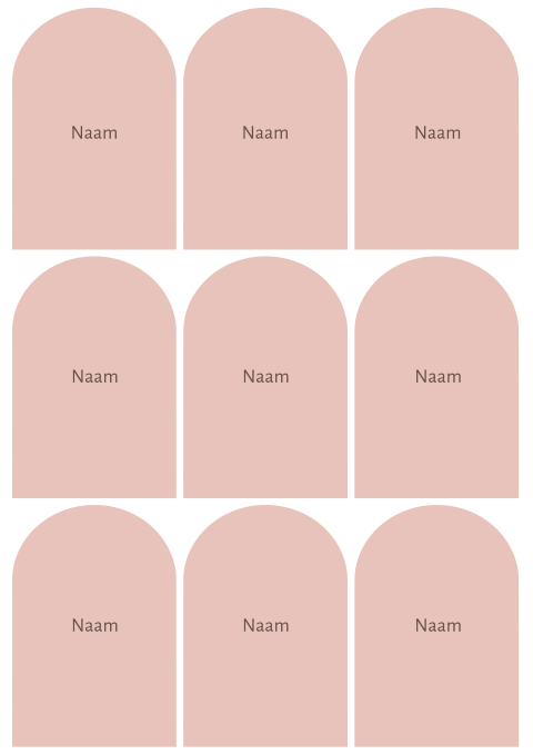 Naamkaartjes bruiloft minimalistisch roze boogjes Guido Annelien