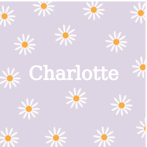 Raambord Charlotte