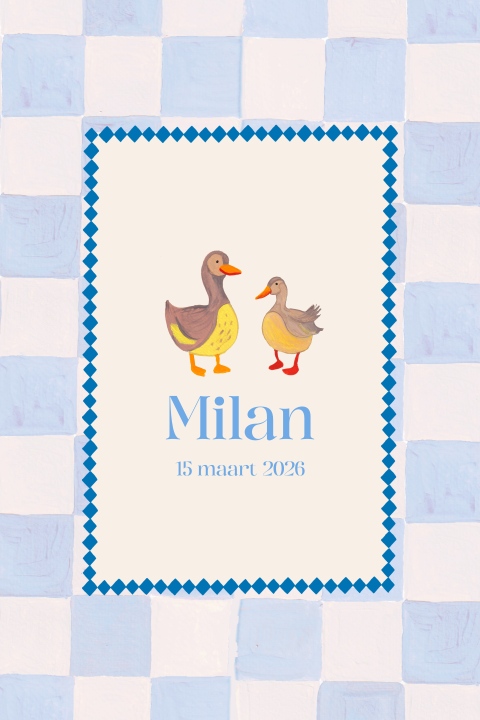 Geboortekaartje ruitjes randjes gouache eendjes broertje