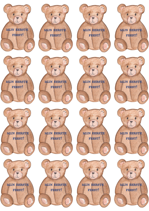 Kraamborrelkaartjes Beertje