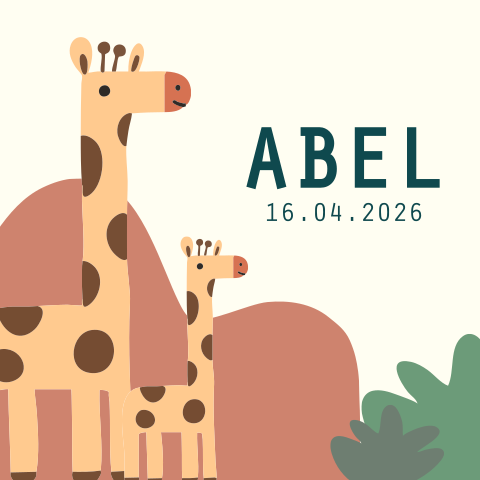 Geboortekaartje giraf broertjes Abel