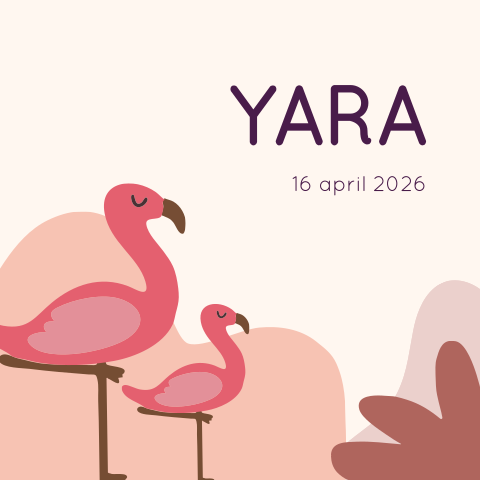 Geboortekaartje flamingo zusjes Yara