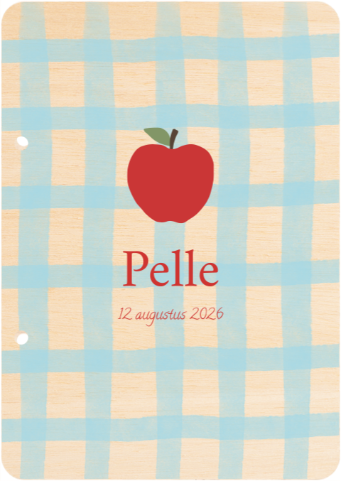 Bewaarbundel geboortekaartjes Ruitjes blauw appel Pelle