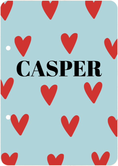 Bewaarbundel geboortekaartjes hartjes Casper