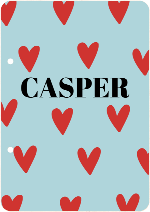 Bewaarbundel geboortekaartjes hartjes Casper