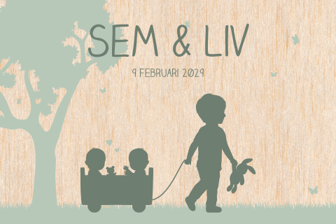 Geboortekaartje houten tweeling kaart met silhouet grote broer