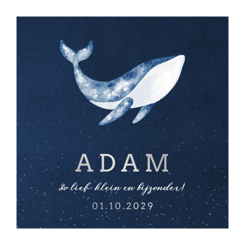Geboortekaartje waterverf walvis sterrenhemel