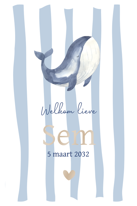 Geboortekaartje golfrand met blauwe streep en walvis