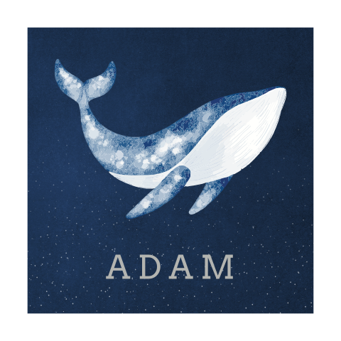 Poster waterverf walvis sterrenhemel