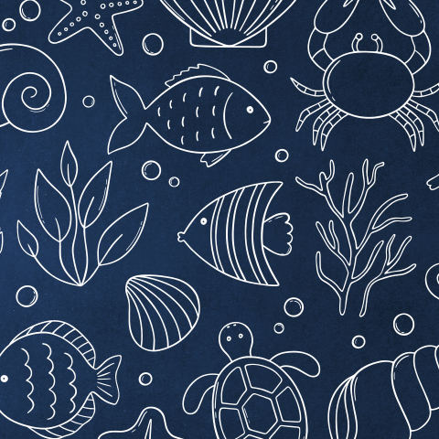 Kraamborrel | Onderwaterwereld cirkel