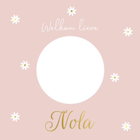 Geboortekaartje meisje met doorkijk met lief girafje en bloemen