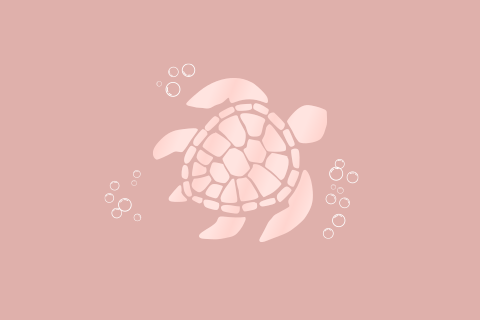 Kraamborrel | Schildpad illustratie roze